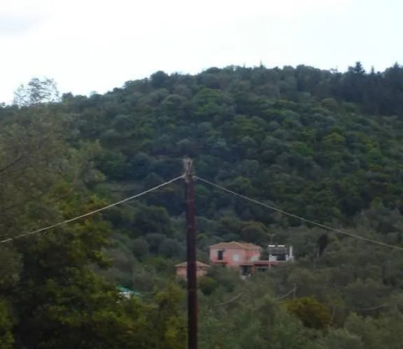 Ellis Guest house 4*